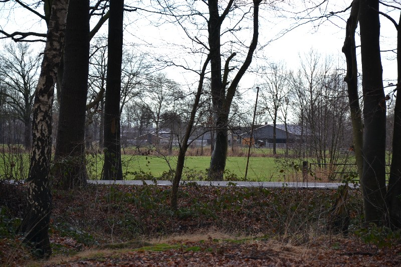 Door de bomen... de zorgboerderij
