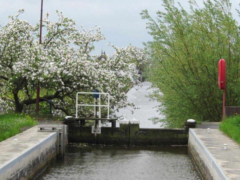 wandelen door de seizoenen 10 mei 086