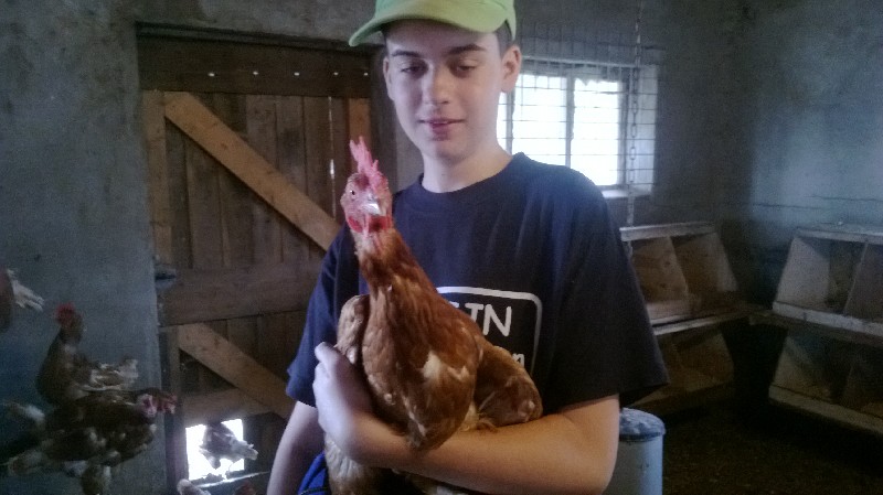 Deelnemertrots Blommmendal