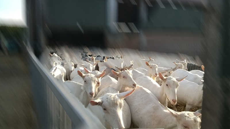 Created with Nokia Smart Cam