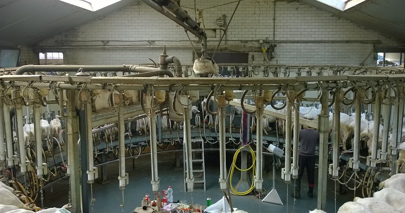Carrouselmelkstal Geiten