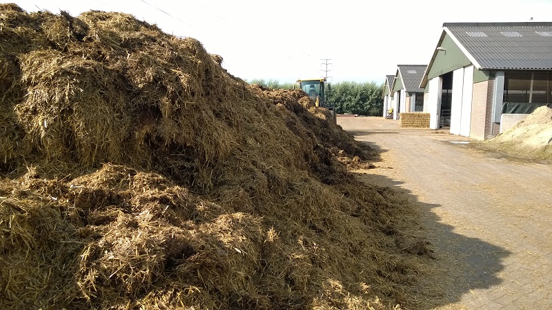 Mest wacht om opgehaald te worden