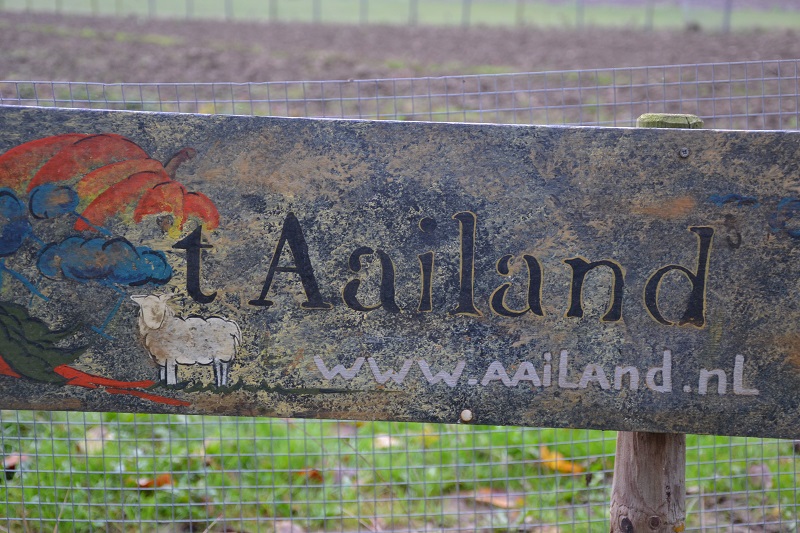 Aailand - Nederhemert zuid