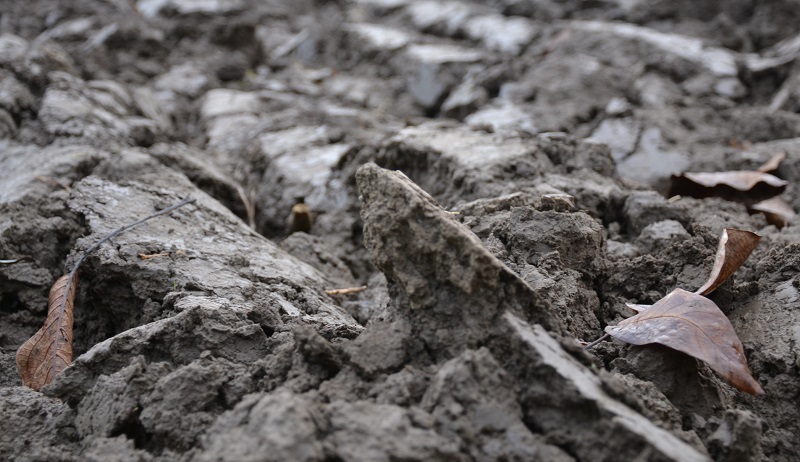 Omgeploegde Aarde wacht op de winter, november