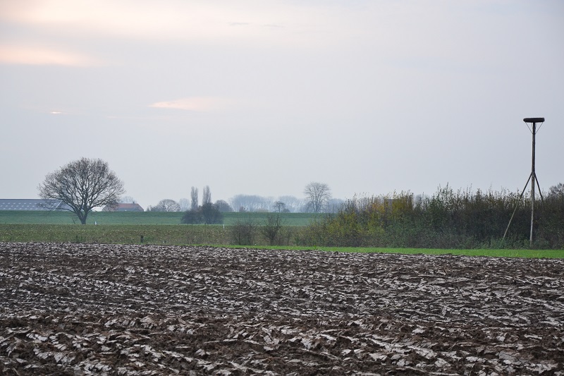Platteland Bommelerwaard zuidwest - Nederhemert zuid