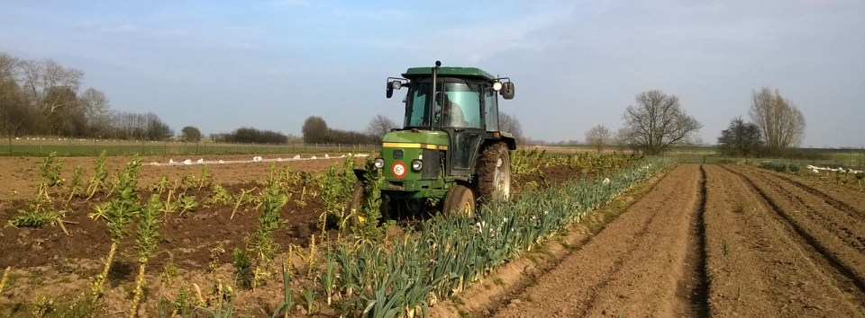 Spruitplanten bewerken - resten worden afgevoerd