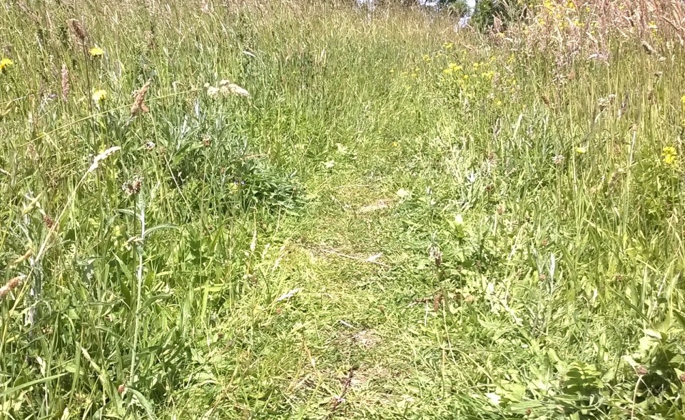 Created with Nokia Smart Cam