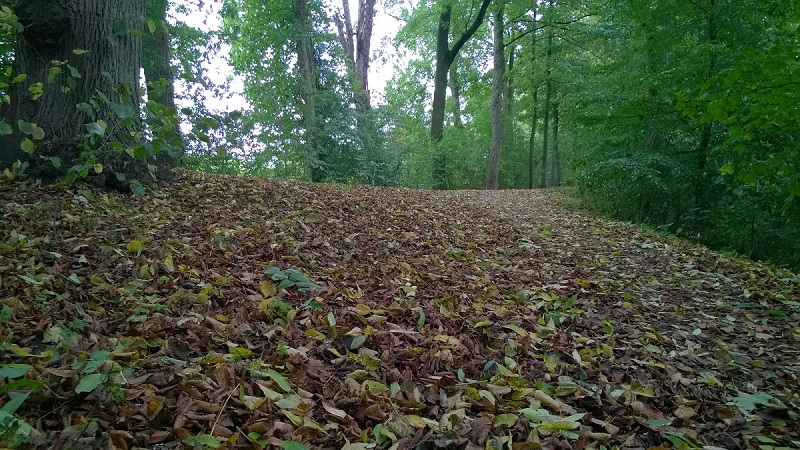 Herfst1 - stadspark Zaltbommel