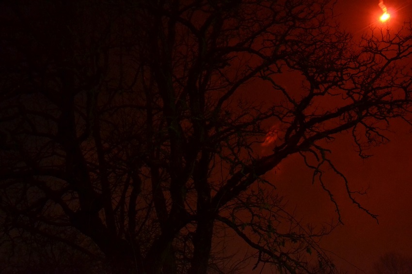 Vuurwerk jaarwisseling