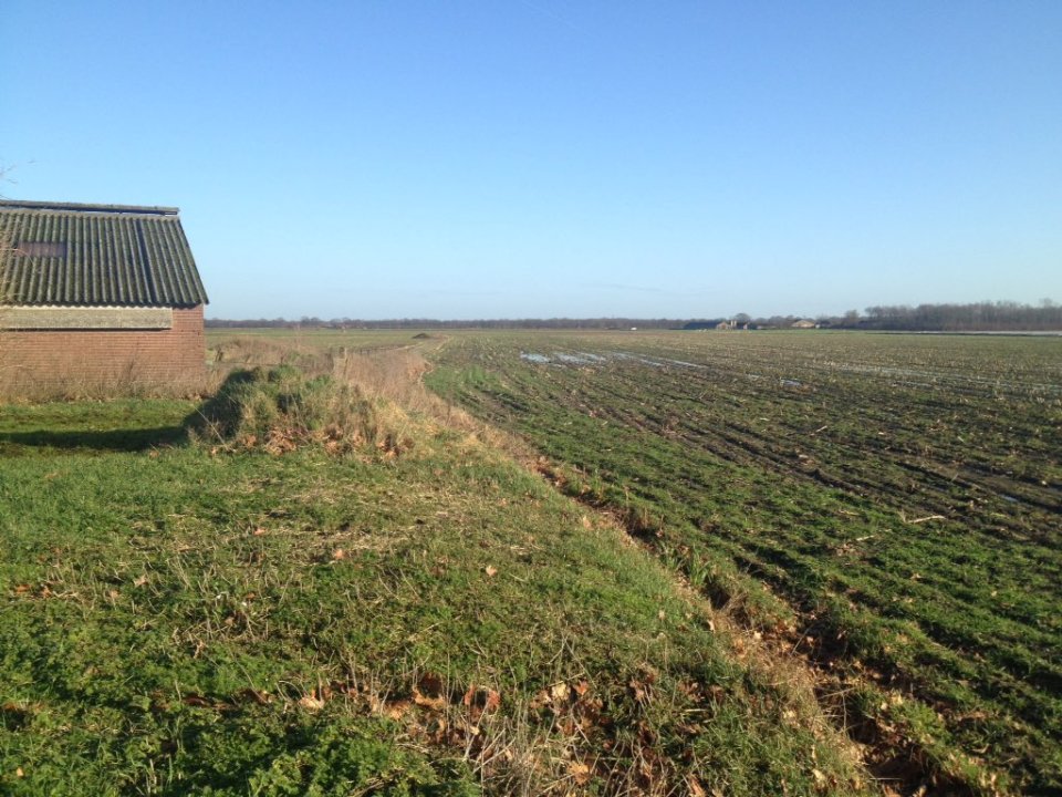 2016 Snoertseplak perceel, januari