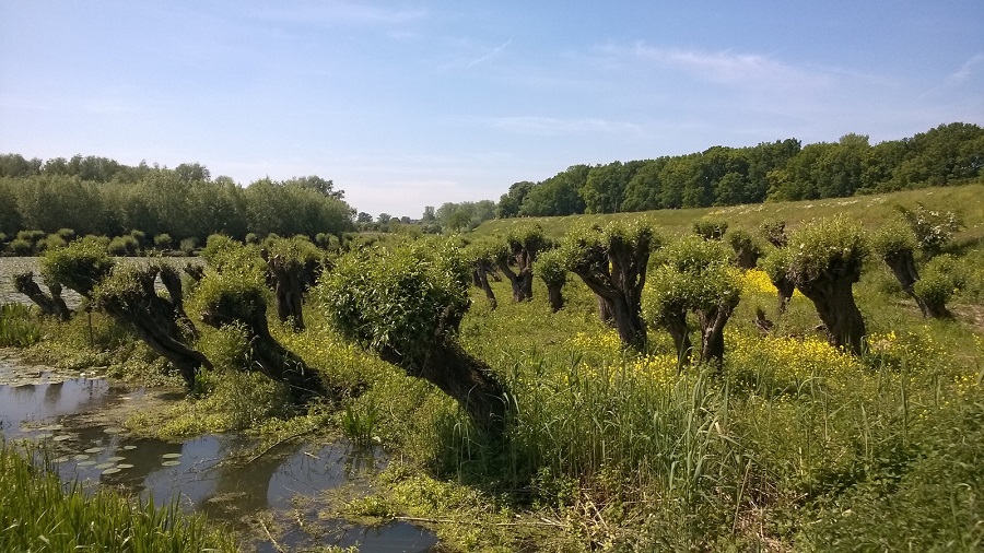 Created with Nokia Smart Cam