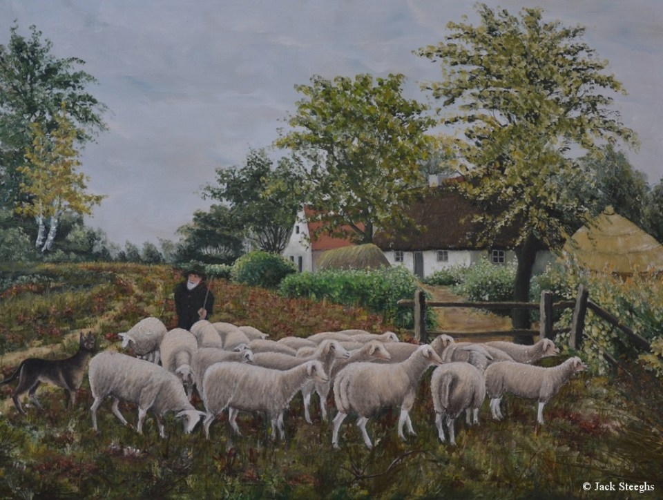 Herder met Schapen - vroedman Schilderij Louis Steeghs 2007