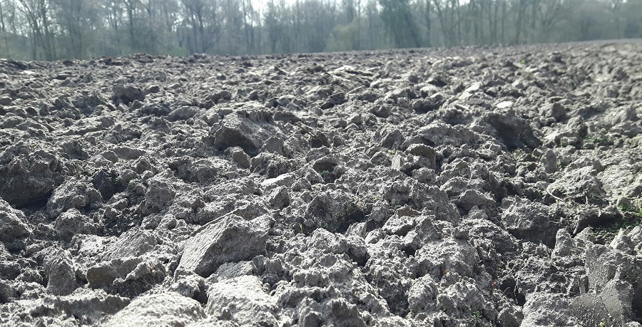 omgeploegde-zandgrond-april